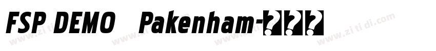 FSP DEMO   Pakenham字体转换